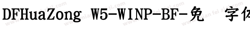 DFHuaZong W5-WINP-BF字体转换